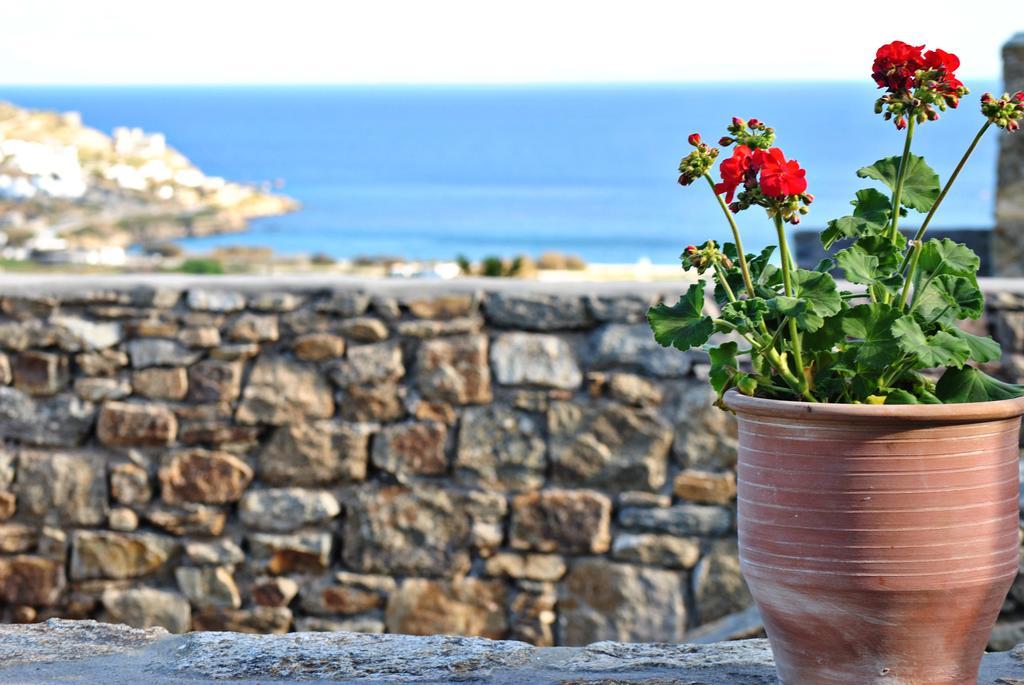 Livadi House Villa Kalo Livadi Dış mekan fotoğraf